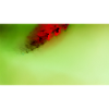 Red Art 56