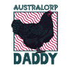 Australorp Papa
