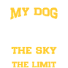 Parachutisme militaire parachutiste