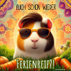 Meerschwein-Magic