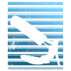 Kiteboarding Kitesurfer Kitesurfing Kiteboarder