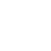 Geringverdiener 2029