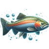 Trout Rainbow Trout Fishing