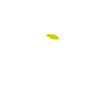 Paraguayan Guarani Terere