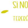 Paraguayan Guarani Terere