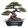 Bonsai / Tree / Miniature / Japanese / Small