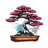 Bonsaï / arbre / miniature / japonais / petit