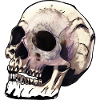 Skull Dimension