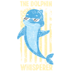 Dolphin American Flag The Dolphin
