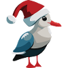 Seagull
