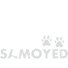 Loved By A Samoyed