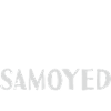 Property Of A Samoyed