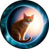Cats in cosmic orbit