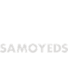 Café Et Samoyède