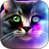 Neonkatze Farbenspiel Portrait