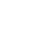 Spider in spider web