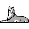 Chechen Lone Wolf