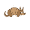 Armadillo is annoyed desert mammal