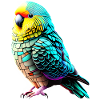Perruche Oiseau Calopsitte Propriétaire d’oiseau