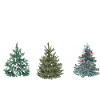 Weihnachtsbaum