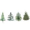 Weihnachtsbaum