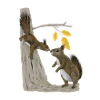 Zwei Eichhörnchen