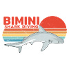 Bimini Bull Shark Diving