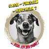 Gassi !