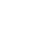 Année du Dragon 2024
