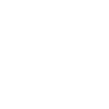 Année du Dragon 2024