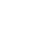 Année du Dragon 2024