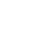 Année du Dragon 2024
