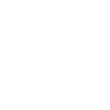 Année du Dragon 2024
