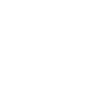 Année du Dragon 2024
