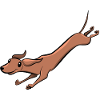 Dackel