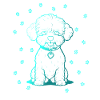 Bichon frisé avec petites pattes