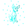 Doberman Pinscher with small paws