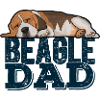 Beagle Dad