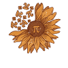 Pi Day Solsikke 3,14 Pi Tal Symbol Matematik elsker