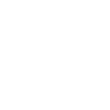 Archaeologist Historian Antiquarian Scholar