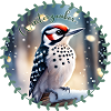 Winterzauber Specht