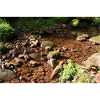 Ruisseau de la Forêt-Noire