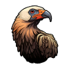 Vulture Head