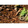 Kleiner Waldbach am Stein