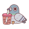 Pigeon Drinking Bubble Tea