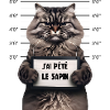 j'ai pété le sapin