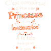 Princesse et Institutrice