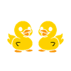 Petit canard