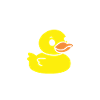 Petit canard