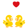 Petit canard